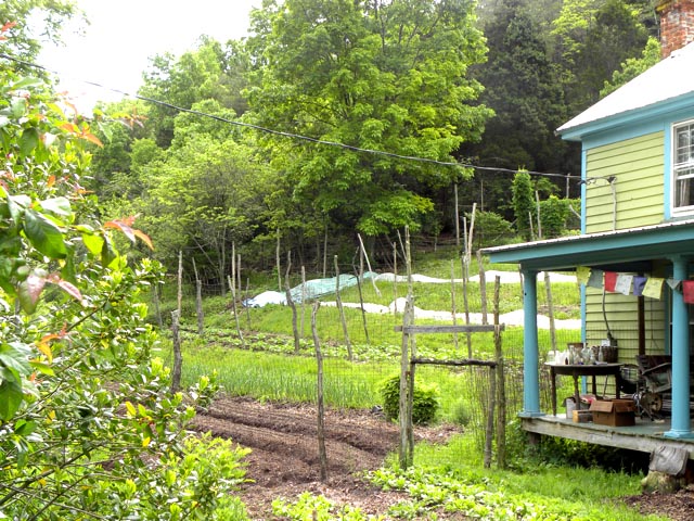 Side garden view