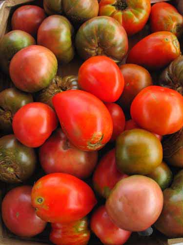 heirloom tomatoes from Greenstar farm